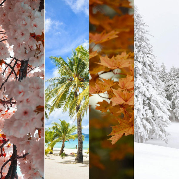 Seasonal Statements - doingly