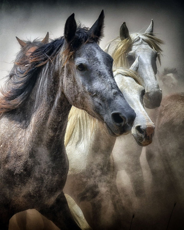 Wild Western Art - doingly