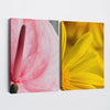 And Flowers E, F 1 - Close - ups Canvas Print by doingly