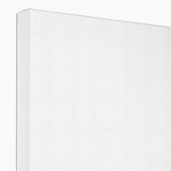 Arcadia White 3 - Architectural Canvas Print by doingly
