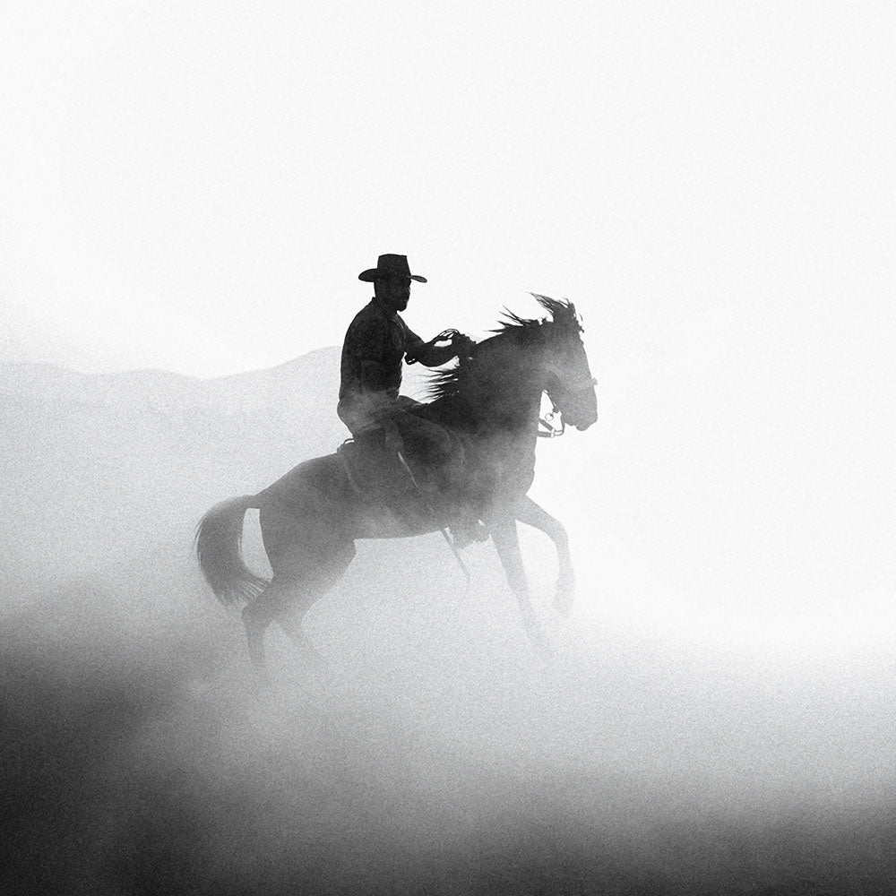 Dusty Dawn Cowboy 2 - Animal Canvas Print by doingly