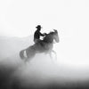 Dusty Dawn Cowboy 2 - Animal Canvas Print by doingly