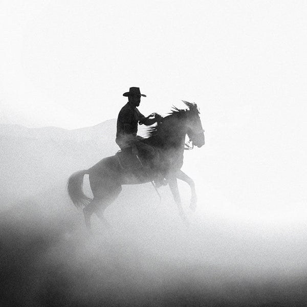 Dusty Dawn Cowboy 2 - Animal Canvas Print by doingly