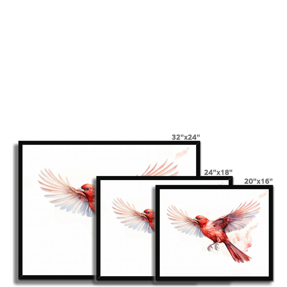 Feathered Creations - Bird 05 5 - Animal Poster Print by doingly