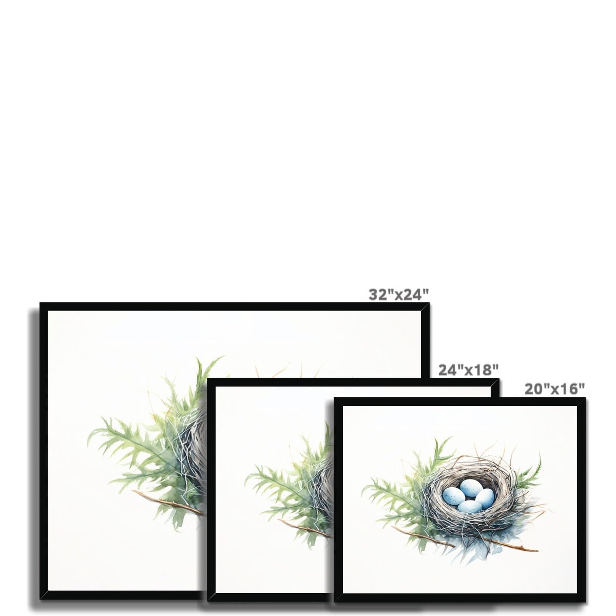Feathered Creations - Nest 02 5 - New Poster Print by doingly