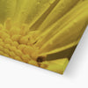 Und Blumen E, F