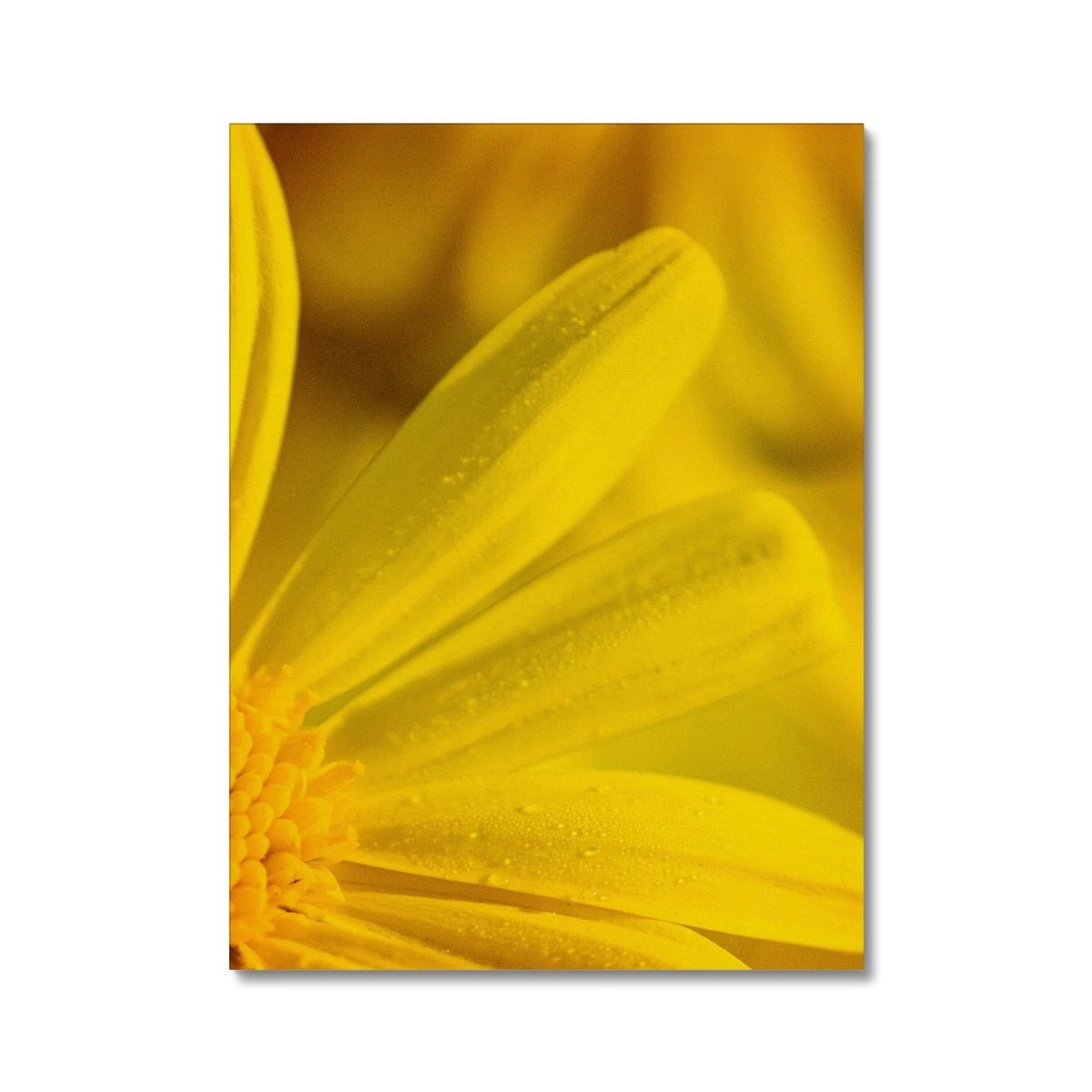 Und Blumen E, F