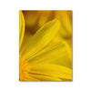 Und Blumen E, F