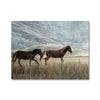 Gallop & Grace 7 - Animal Canvas Print by doingly