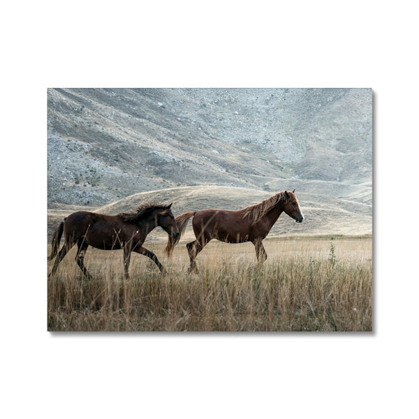 Gallop & Grace 7 - Animal Canvas Print by doingly