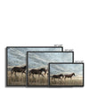 Gallop & Grace 10 - Animal Canvas Print by doingly