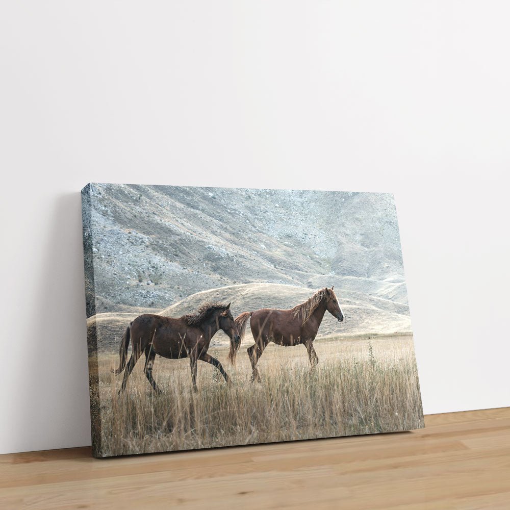 Gallop & Grace 1 - Animal Canvas Print by doingly