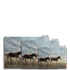 Gallop & Grace 8 - Animal Canvas Print by doingly