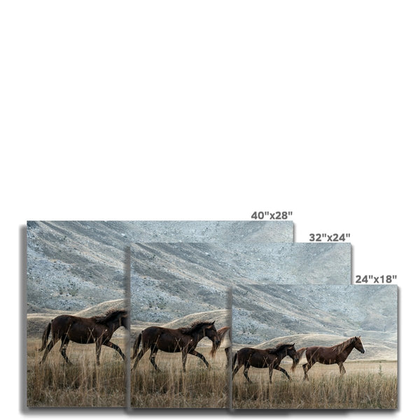 Gallop & Grace 8 - Animal Canvas Print by doingly