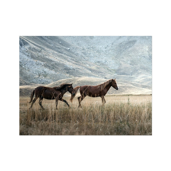 Gallop & Grace 6 - Animal Canvas Print by doingly