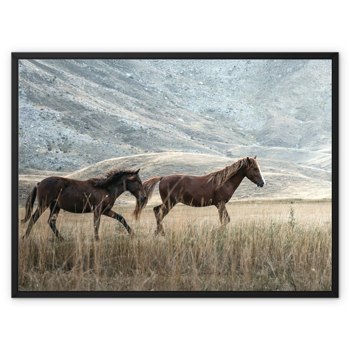 Gallop & Grace 9 - Animal Canvas Print by doingly