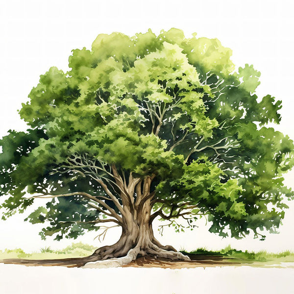 Jungle Baby Animals - Tree 1 2 - Poster Poster Print by doingly