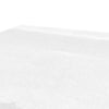 Monochrome Wilderness: The Bear 5 - Animal Canvas Print by doingly