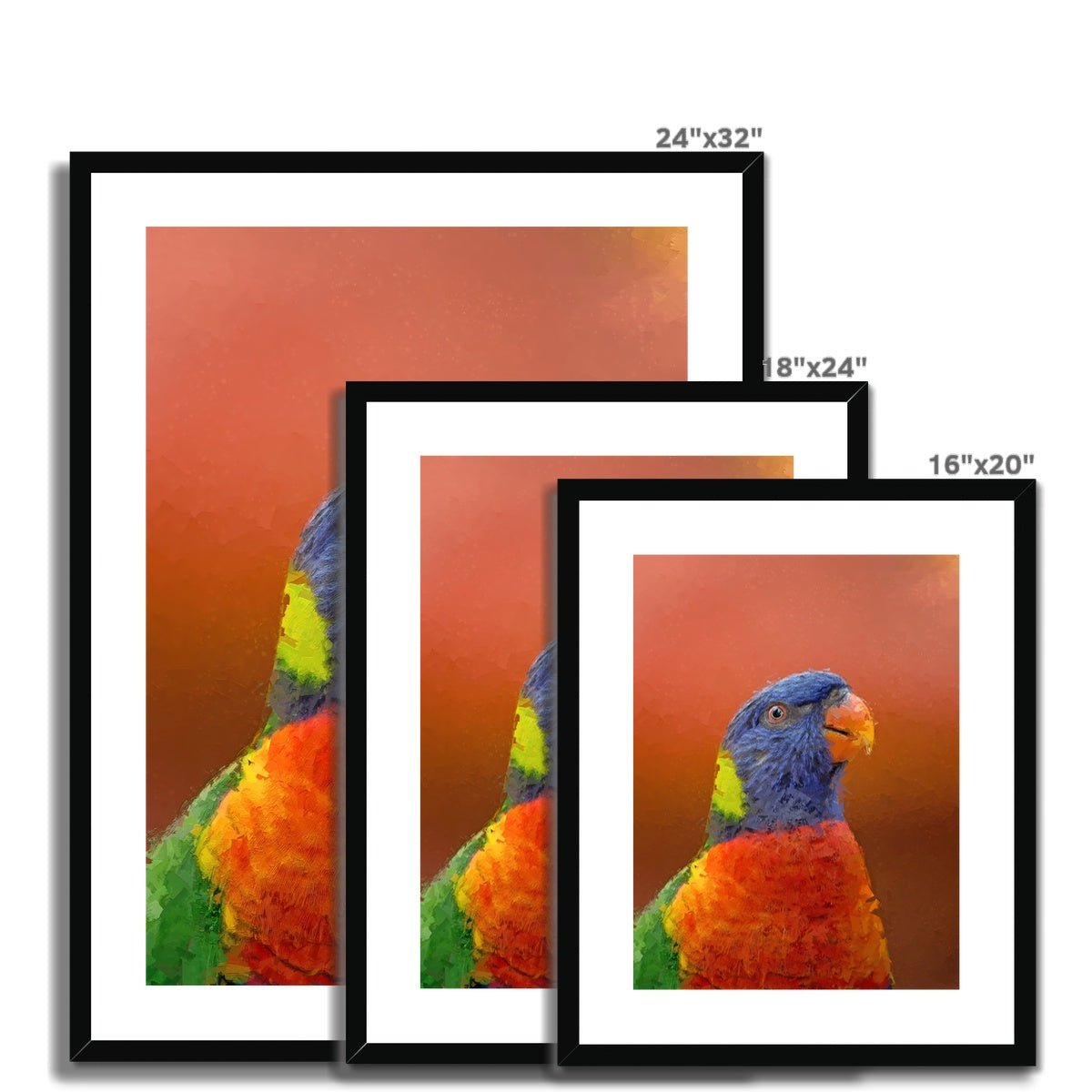Portrait - Lorikeet 5 - Animal Matte Print by doingly