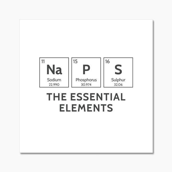 The element of NAPS 2 - Element Wall Tile by doingly