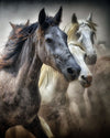 Thunderous Hooves 2 - Animal Classic Print by doingly