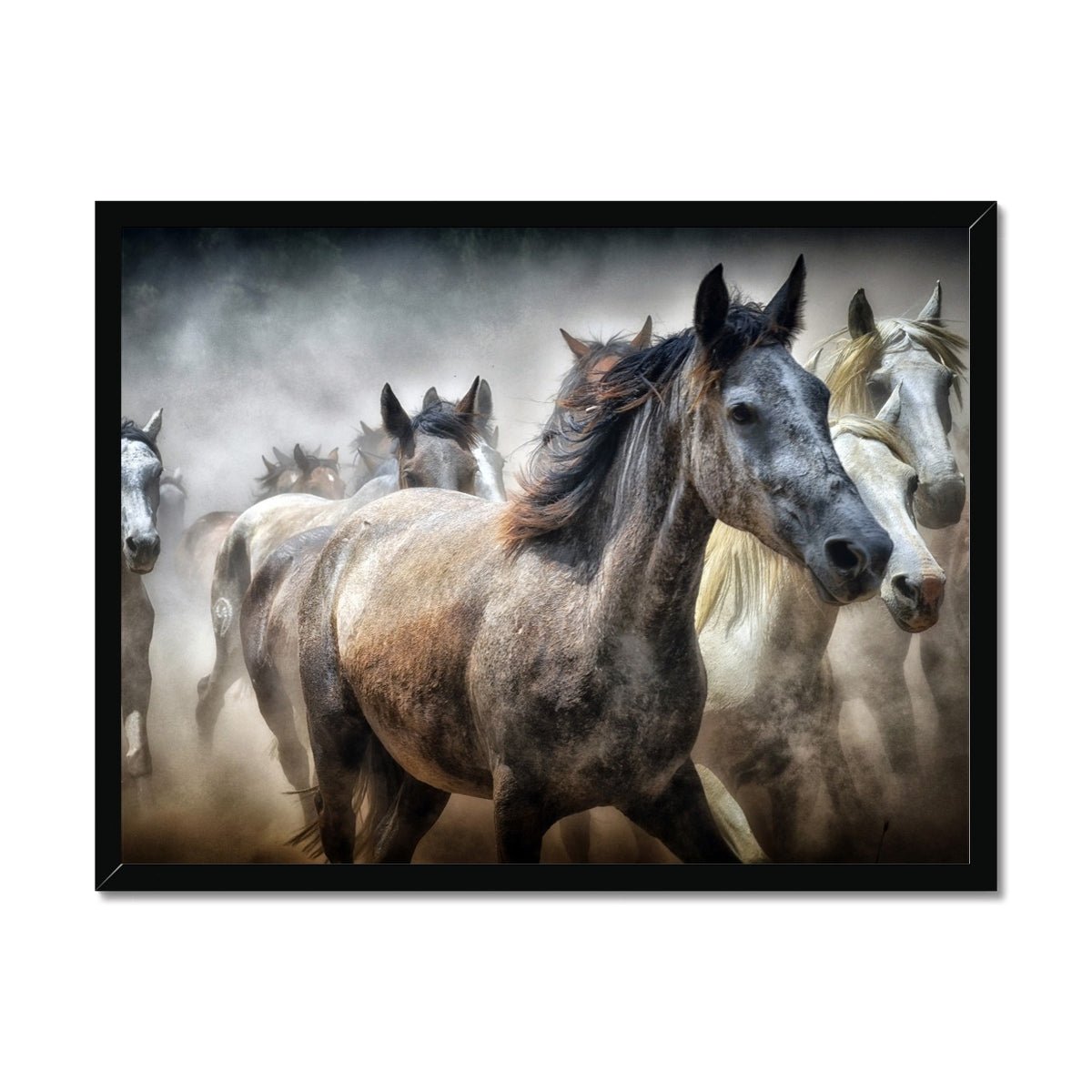 Thunderous Hooves 1 - Animal Classic Print by doingly