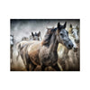 Thunderous Hooves 8 - Animal Classic Print by doingly