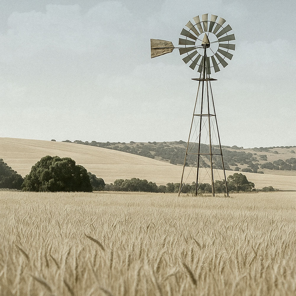 Wind & Wheat Symphony 2 - Farm Life Framed Print by doingly
