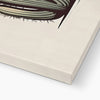 Yeed 4 - New Canvas Print by doingly