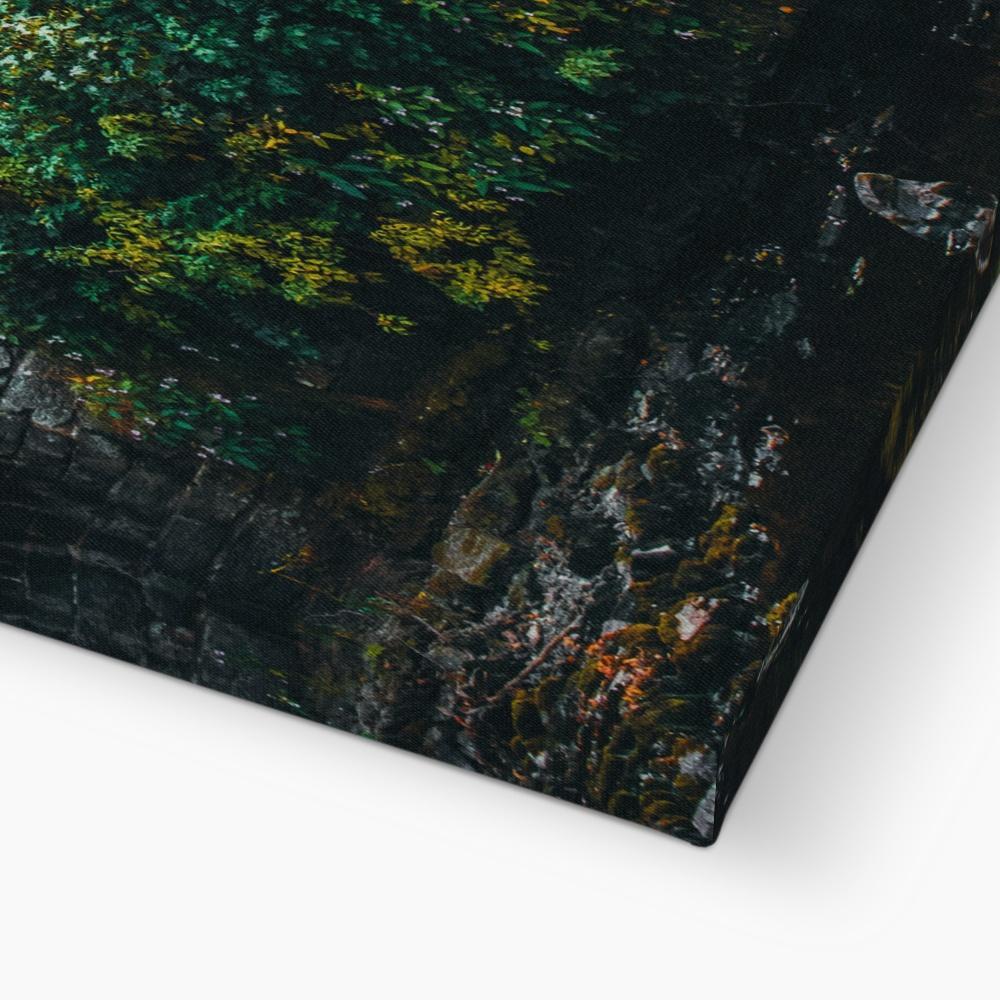 Cottage Leaves 5 - Landscapes Canvas Print by doingly