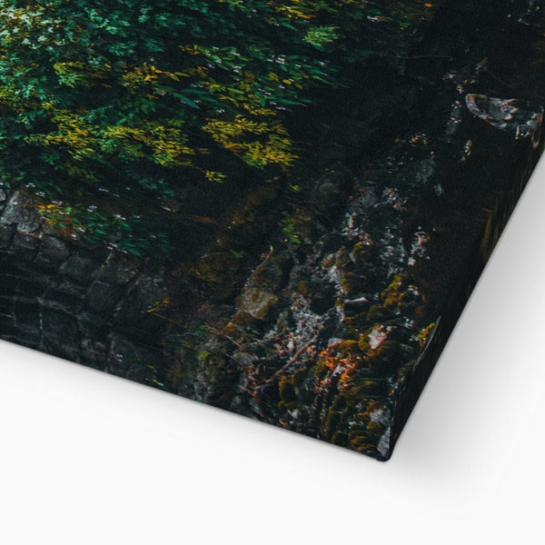 Cottage Leaves 5 - Landscapes Canvas Print by doingly