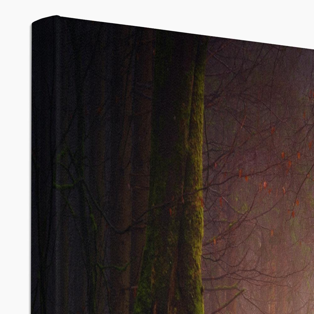 Filligo 4 - Landscapes Canvas Print by doingly
