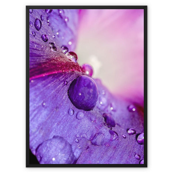 And Flowers C 7 - Close-ups Canvas Print by doingly