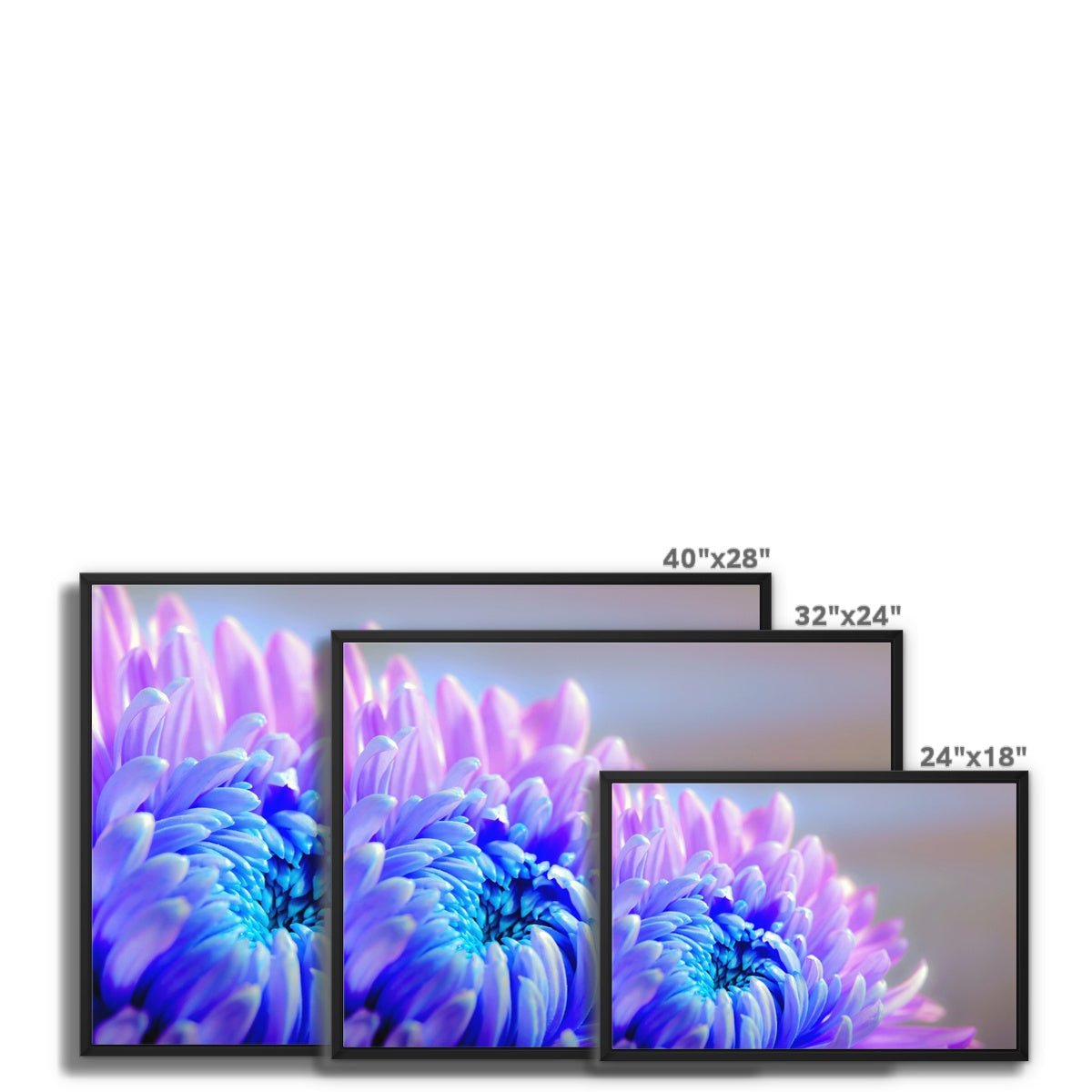 Chrysanne the Mum 8 - Close-ups Canvas Print by doingly