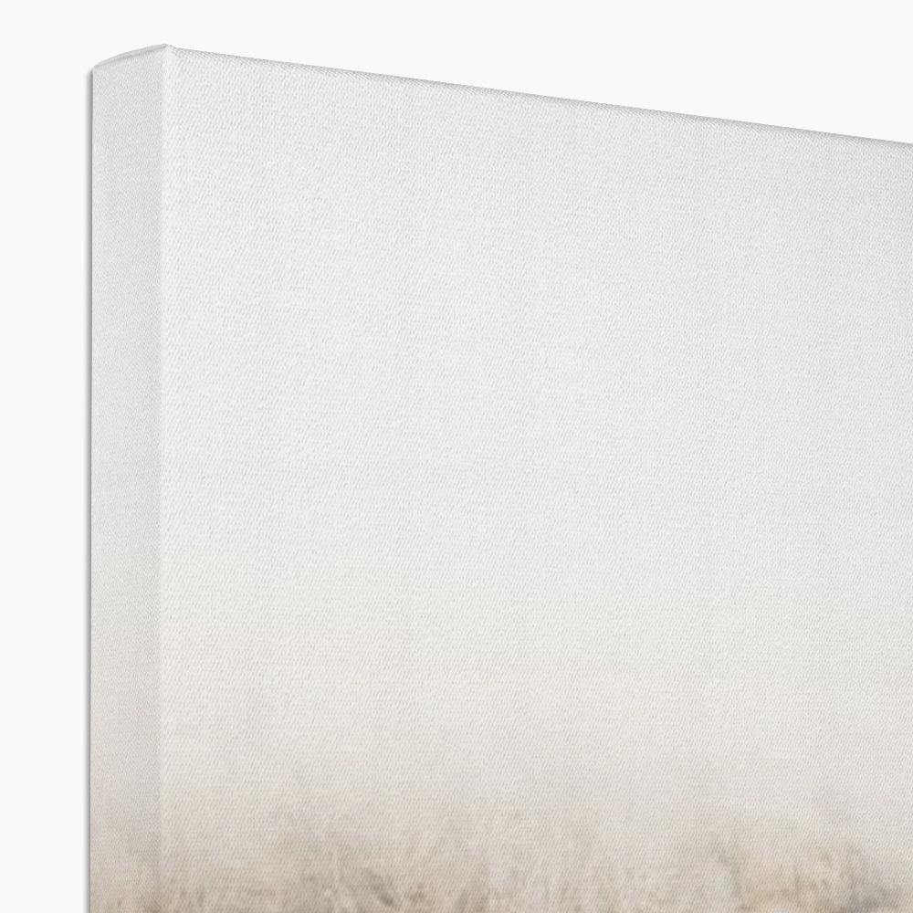 Less Traveled 4 - Landscapes Canvas Print by doingly