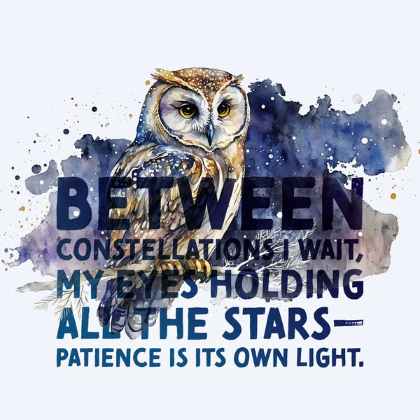 Celestial Starry Night - Owl