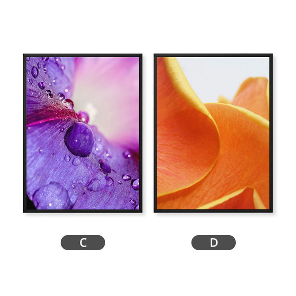 And Flowers C, D 2 - Close - ups Canvas Print by doingly