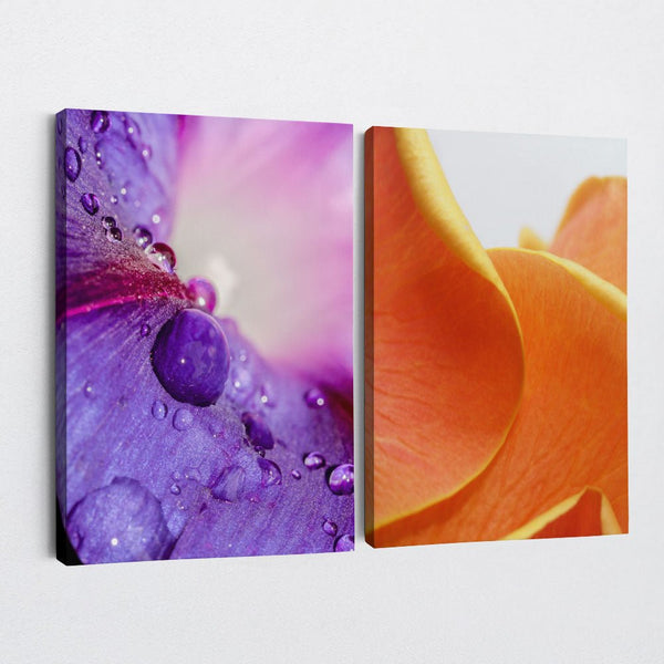 And Flowers C, D 1 - Close - ups Canvas Print by doingly