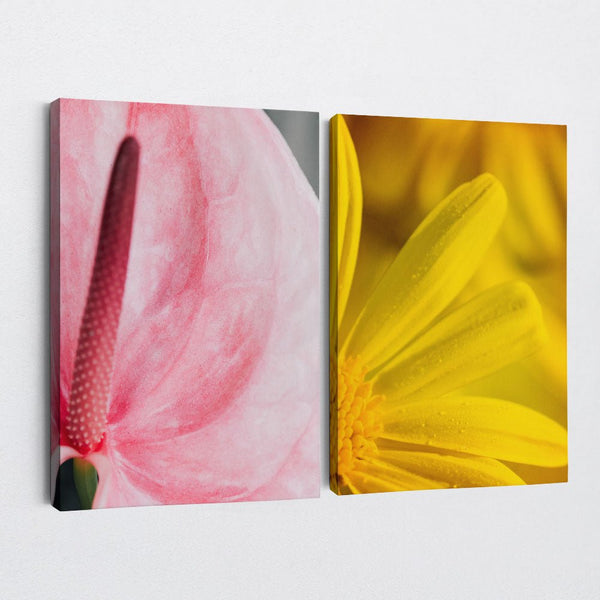 And Flowers E, F 1 - Close - ups Canvas Print by doingly