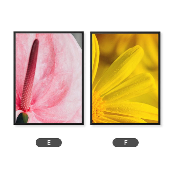 And Flowers E, F 2 - Close - ups Canvas Print by doingly