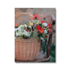 Blossom Basket 7 - New Canvas Print by doingly