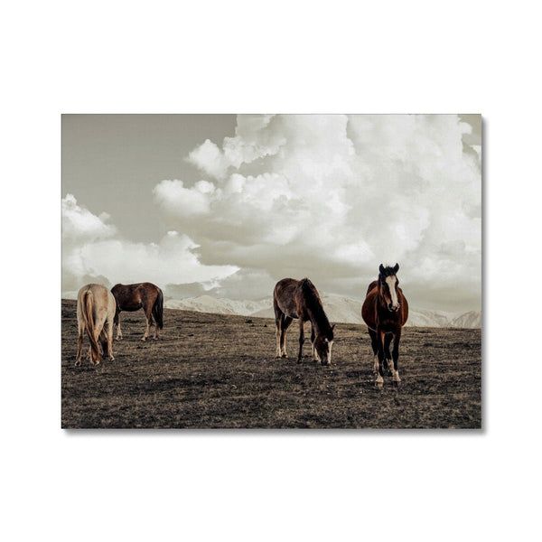 Equine Haven 6 - Animal Canvas Print by doingly