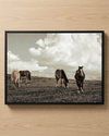 Equine Haven 6 - Animal Canvas Print by doingly