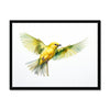 Feathered Creations - Bird 08 1 - Animal Poster Print by doingly