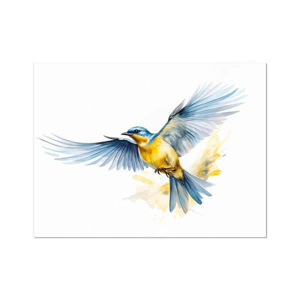 Feathered Creations - Bird 09 6 - Animal Poster Print by doingly