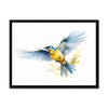 Feathered Creations - Bird 09 1 - Animal Poster Print by doingly