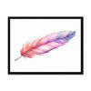 Feathered Creations - Feather 02 1 - New Poster Print by doingly