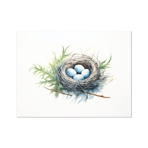 Feathered Creations - Nest 02 6 - New Poster Print by doingly