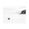 Monochrome Wilderness: The Bear 6 - Animal Canvas Print by doingly