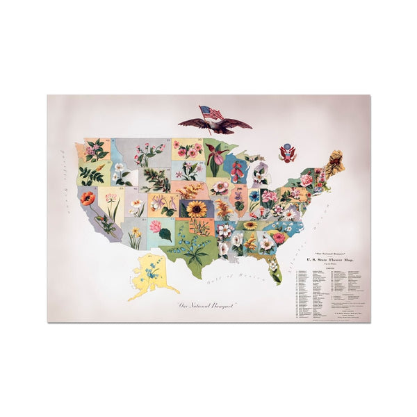 Our National Bouquet 8 - Floral Fine art by doingly